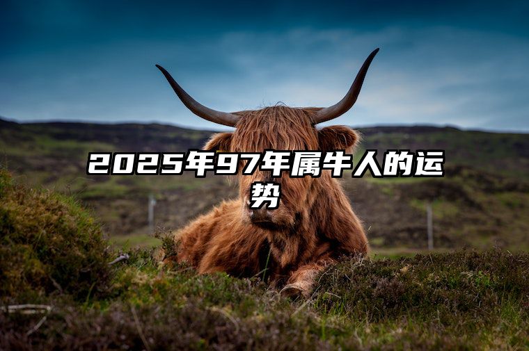 2025年97年属牛人的运势 97年生肖牛2022年运势