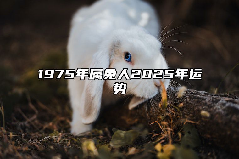 1975年属兔人2025年运势 1975年属兔人2025年运势运程男