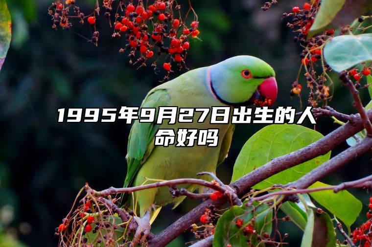 1995年9月27日出生的人命好吗 生辰八字解析