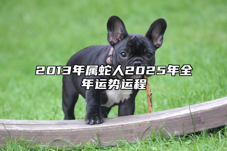 2013年属蛇人2025年全年运势运程 13年属蛇人2025年每月运势详解