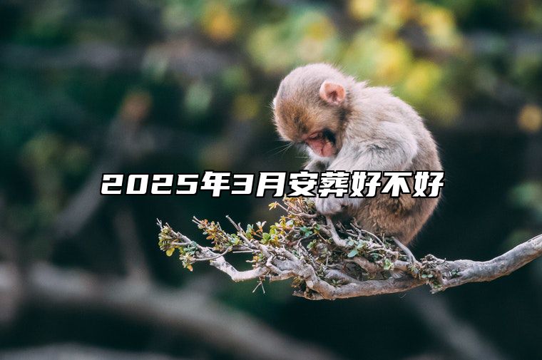 2025年3月安葬好不好 是不是安葬的黄道吉日