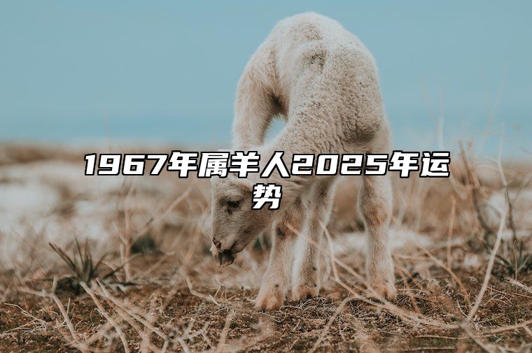 1967年属羊人2025年运势 1967年属羊人2025年运势男性感情运势