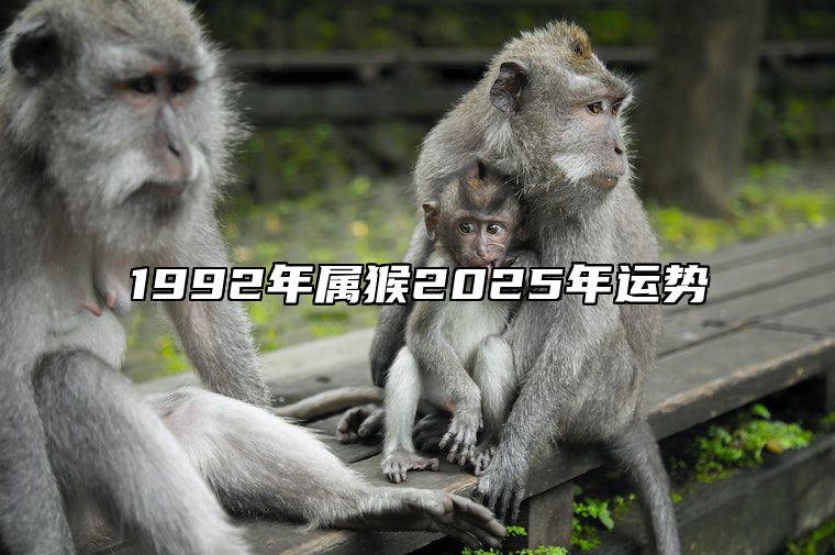 1992年属猴2025年运势 1992年属猴2025年运势如何