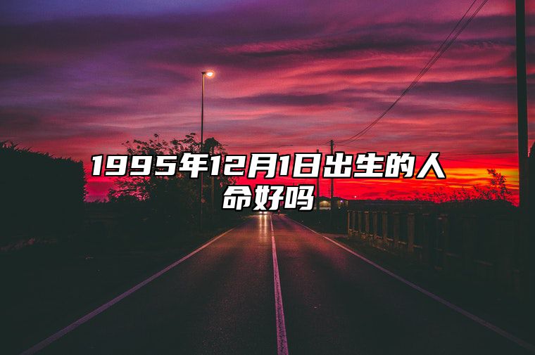 1995年12月1日出生的人命好吗 生辰八字五行解析