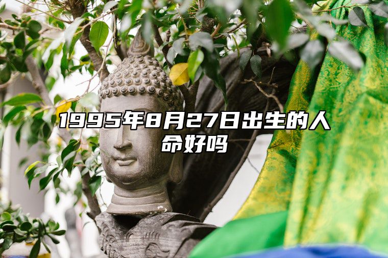 1995年8月27日出生的人命好吗 生辰八字、事业财运详解