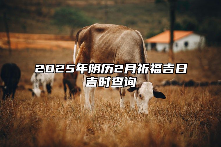 2025年阴历2月祈福吉日吉时查询 哪一天是祈福的好日子