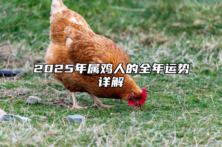 2025年属鸡人的全年运势详解 属鸡人2024年每月运势完整版