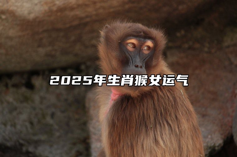 2025年生肖猴女运气 2025年属猴人全年运势女