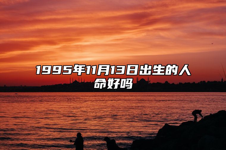 1995年11月13日出生的人命好吗 姻缘婚姻,八字事业人生发展