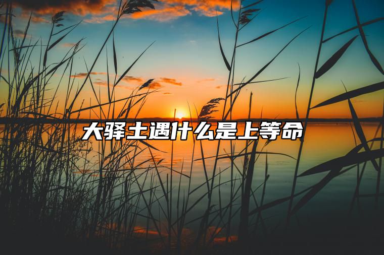 大驿土遇什么是上等命 大驿土是什么命格