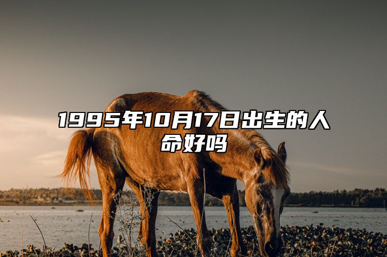 1995年10月17日出生的人命好吗 命运好不好