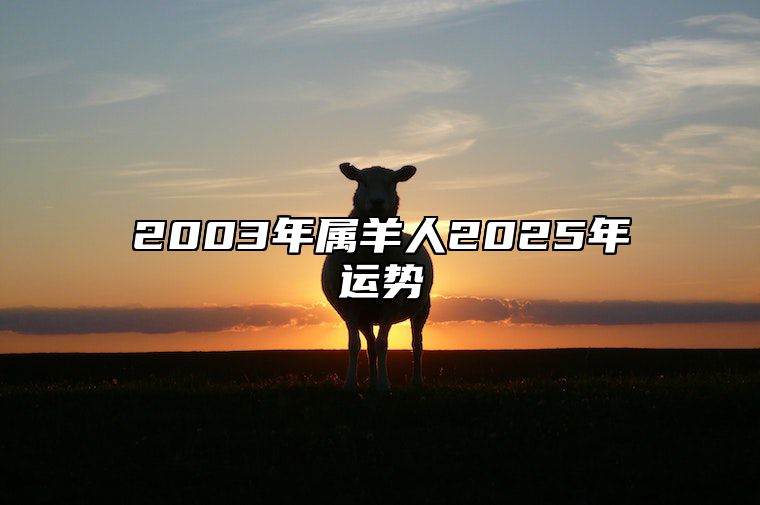 2003年属羊人2025年运势 2003年属羊人2025年运势运程