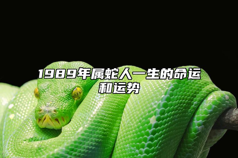 1989年属蛇人一生的命运和运势 