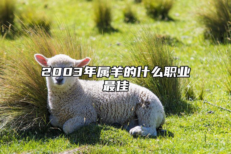 2003年属羊的什么职业最佳 2003属羊的适合什么职业