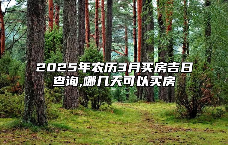 2025年农历3月买房吉日查询,哪几天可以买房 适合买房吗？