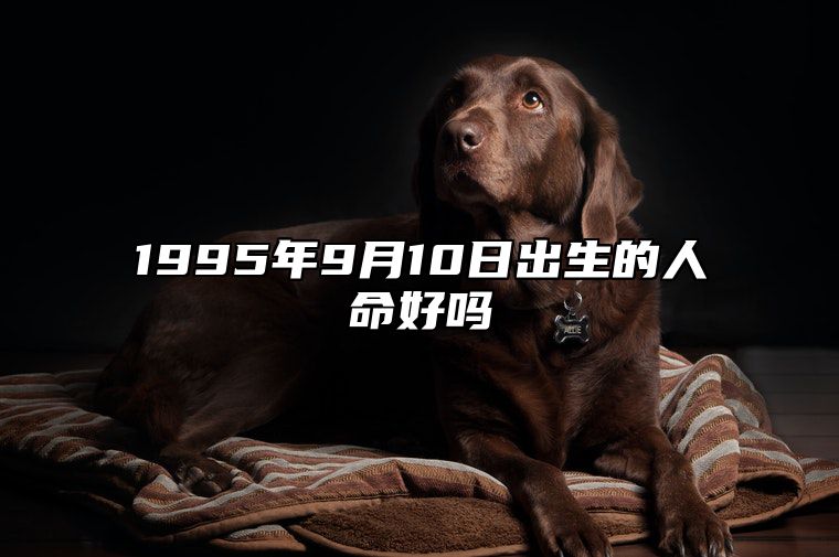 1995年9月10日出生的人命好吗 生辰八字分析五行缺什么