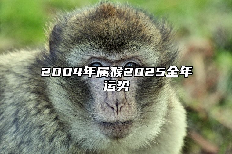 2004年属猴2025全年运势 2004年属猴未来5年运势