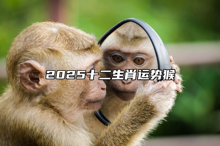 2025十二生肖运势猴 2025年生肖猴