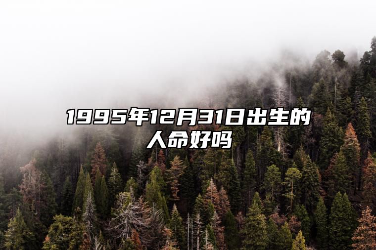 1995年12月31日出生的人命好吗 今日生辰八字查询