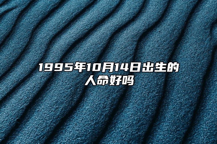 1995年10月14日出生的人命好吗 今日不同时辰生辰八字解析