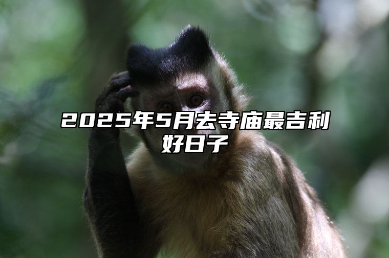 2025年5月去寺庙最吉利好日子 是去寺庙的吉日吗？