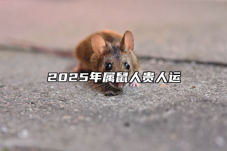 2025年属鼠人贵人运 2025年开始走大运的生肖