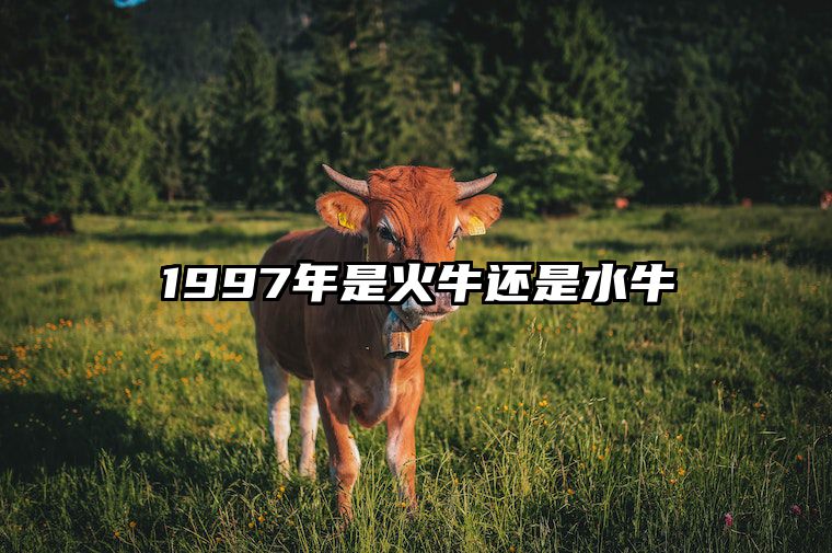 1997年是火牛还是水牛 1997年是火牛还是水牛万年历