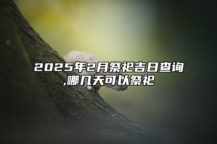 2025年2月祭祀吉日查询,哪几天可以祭祀 今日祭祀黄道吉日查询