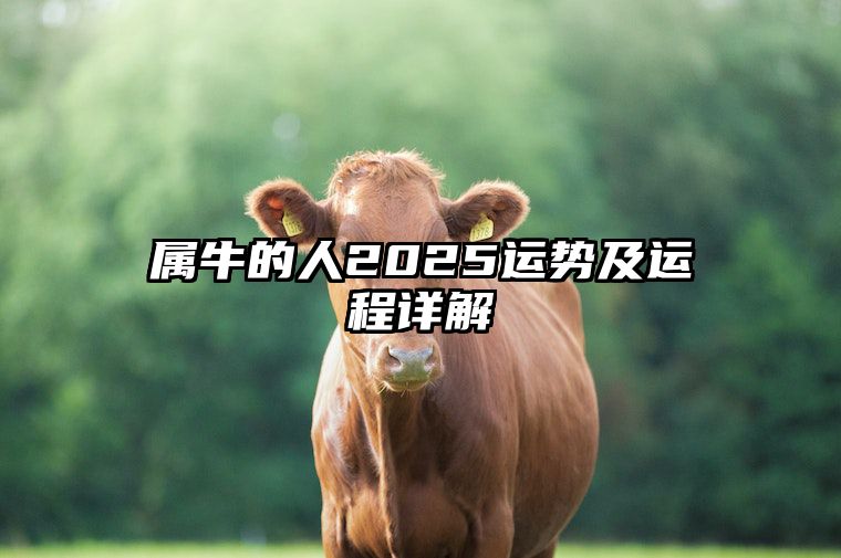 属牛的人2025运势及运程详解 属牛的人2025年运势及运程