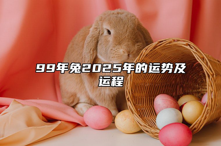 99年兔2025年的运势及运程 99年属兔2023年运势及运程每月运程