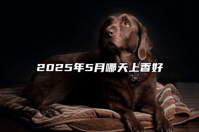 2025年5月哪天上香好 哪一天上香吉利