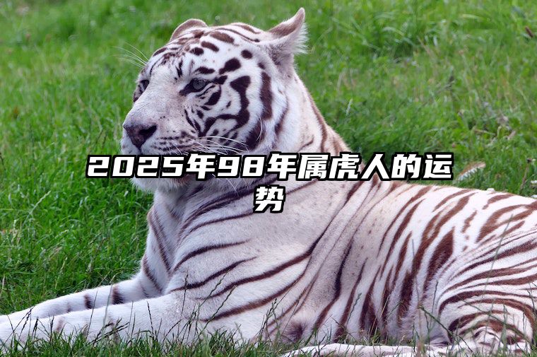 2025年98年属虎人的运势 98年属虎人2023年运势