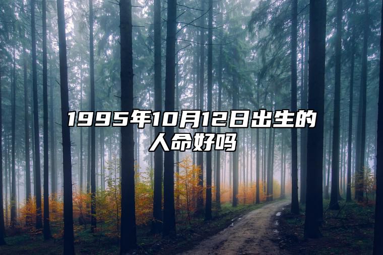 1995年10月12日出生的人命好吗 今日生辰八字查询