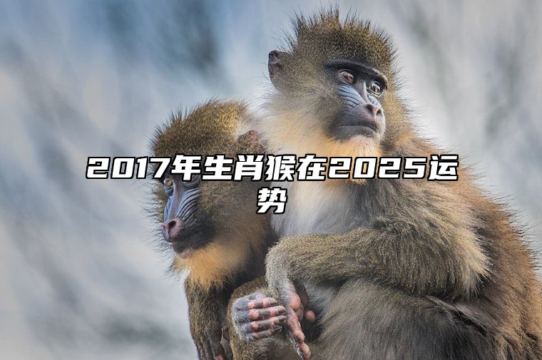 2017年生肖猴在2025运势 属猴2017年