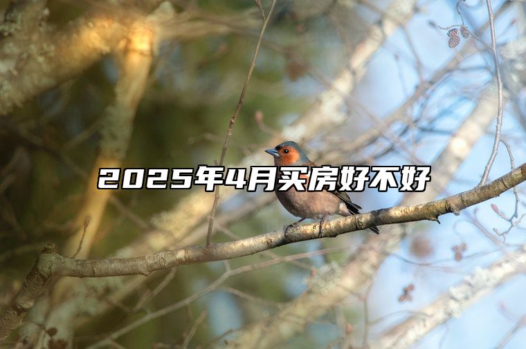 2025年4月买房好不好 买房老黄历查询