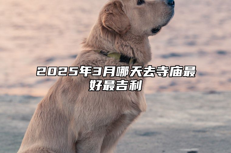 2025年3月哪天去寺庙最好最吉利 是去寺庙的吉日吗？