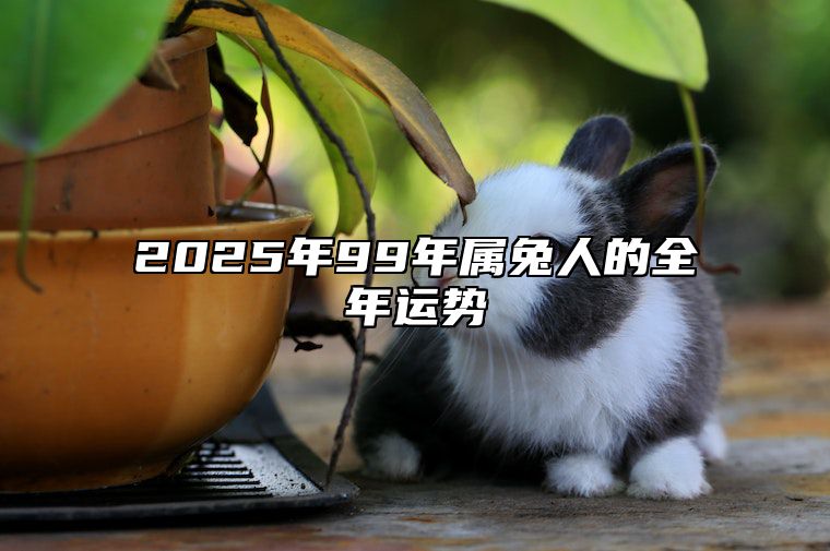 2025年99年属兔人的全年运势 99年属兔到25岁的运势