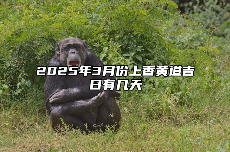 2025年3月份上香黄道吉日有几天 是不是上香的黄道吉日