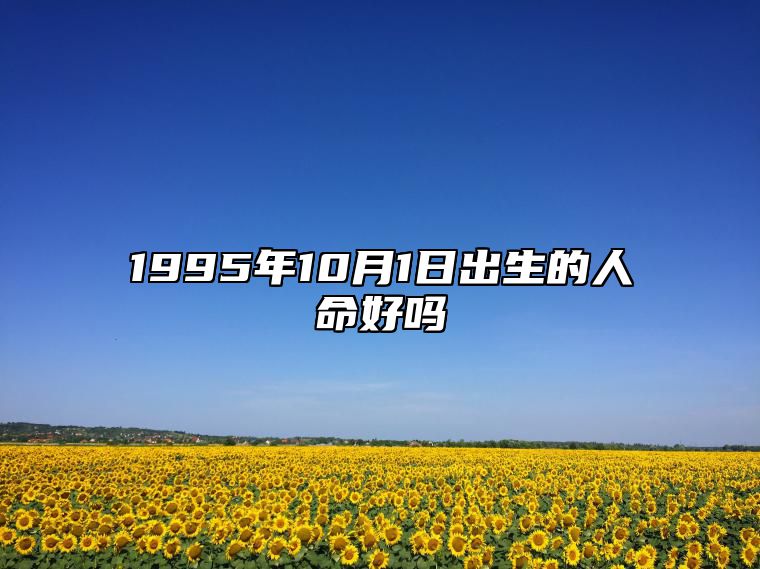 1995年10月1日出生的人命好吗 生辰八字运势查询