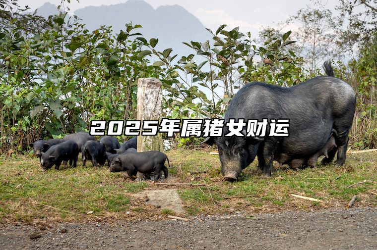 2025年属猪女财运 2025年属猪人的全年运势女性