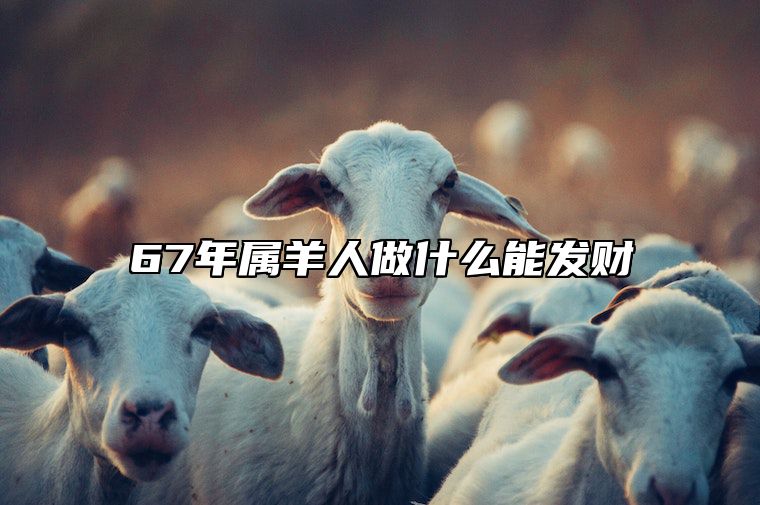 67年属羊人做什么能发财 67年属羊男做什么行业赚钱