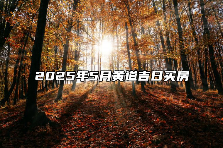 2025年5月黄道吉日买房 哪一天买房吉利