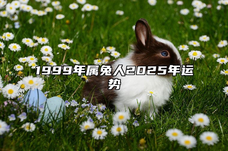 1999年属兔人2025年运势 1999年属兔人2025年运势运程每月运程