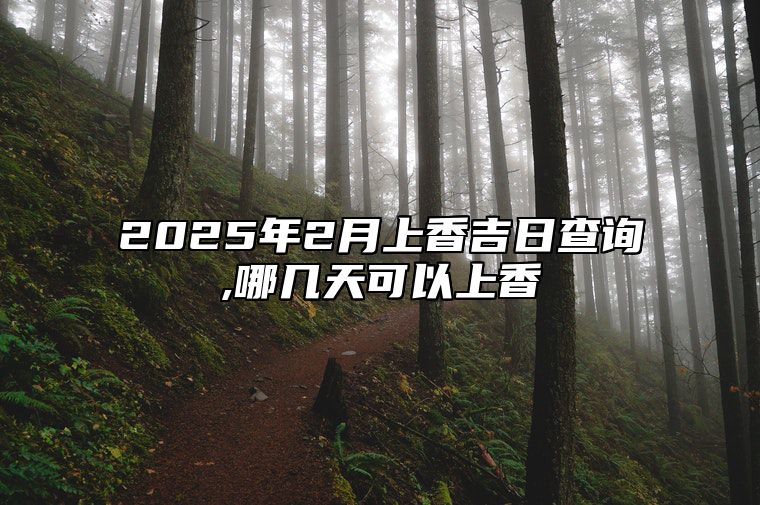 2025年2月上香吉日查询,哪几天可以上香 是上香的吉日吗？