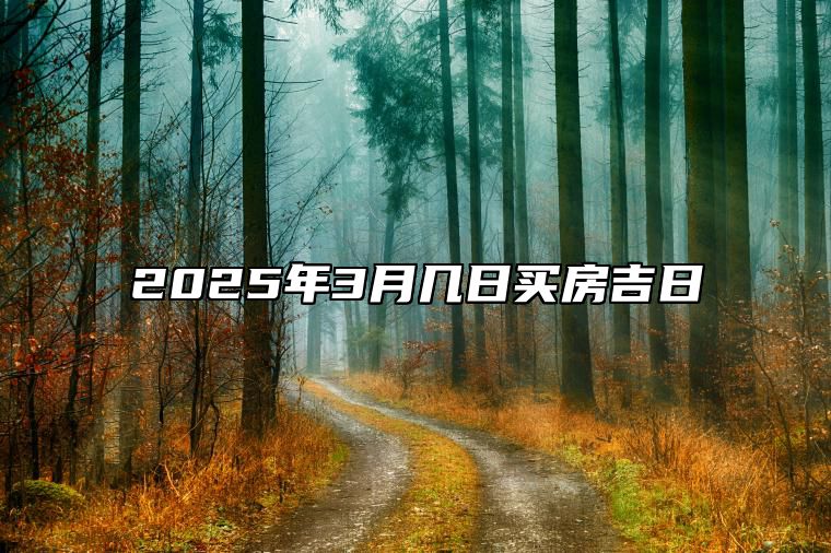 2025年3月几日买房吉日 买房吉日查询