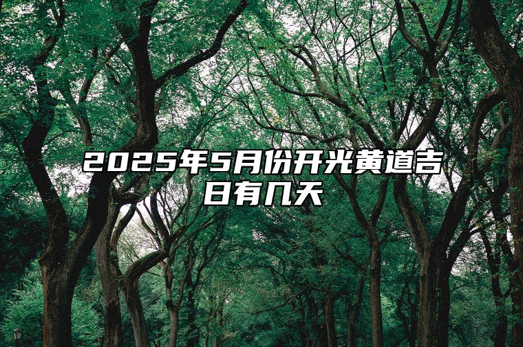 2025年5月份开光黄道吉日有几天 哪一天开光吉利