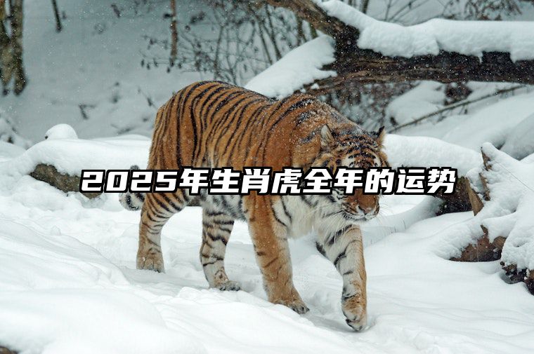 2025年生肖虎全年的运势 生肖虎2025年运势及运程