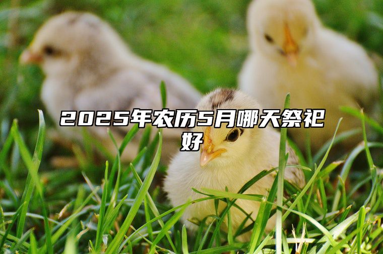 2025年农历5月哪天祭祀好 是祭祀的吉日吗？