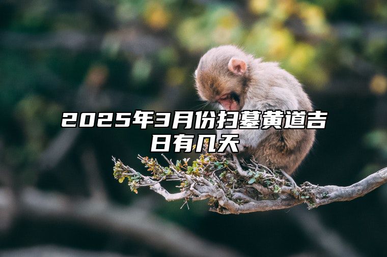 2025年3月份扫墓黄道吉日有几天 扫墓老黄历查询