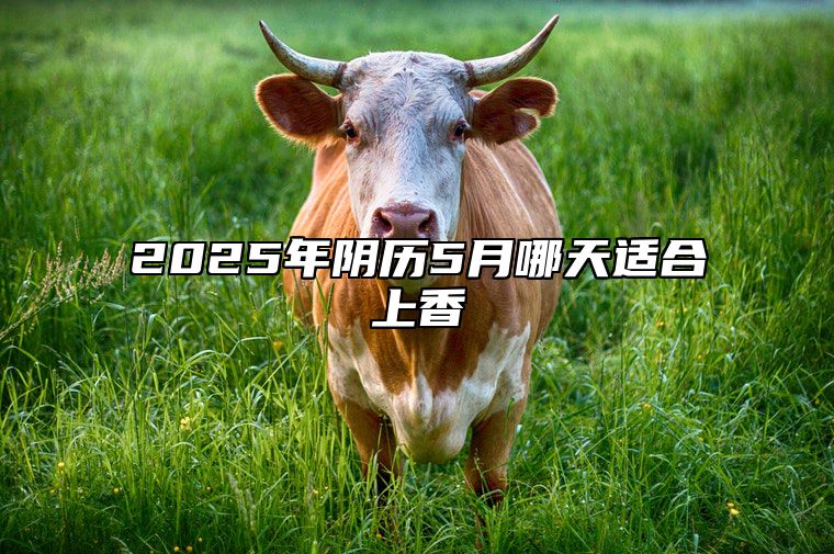 2025年阴历5月哪天适合上香 适合上香的黄道吉日